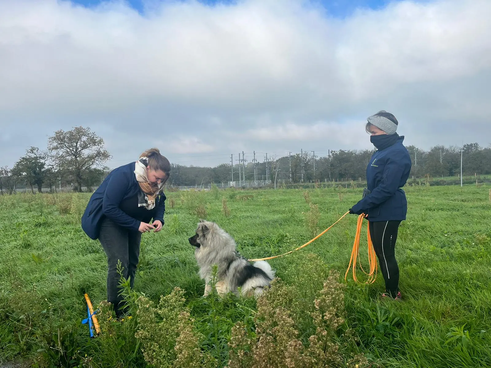 exercice d'éducation canine avec eurasier Koda en extérieur tenu en longe