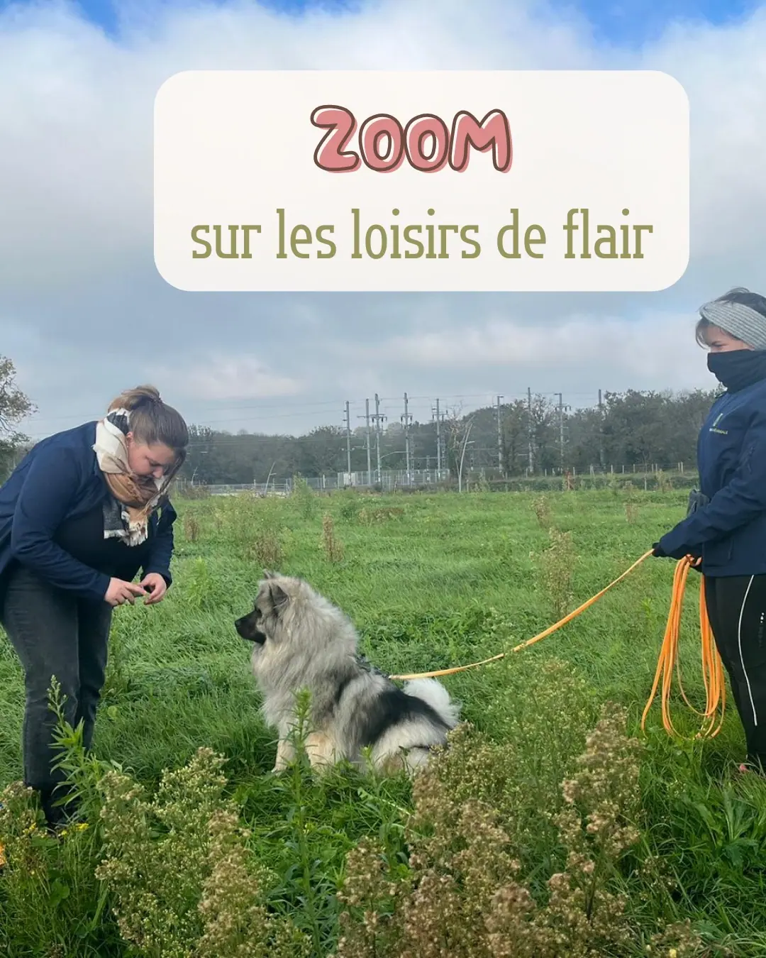 Post Instagram So'Waf sur les loisirs de flair, séance d'activité olfactive en pleine nature avec un chien