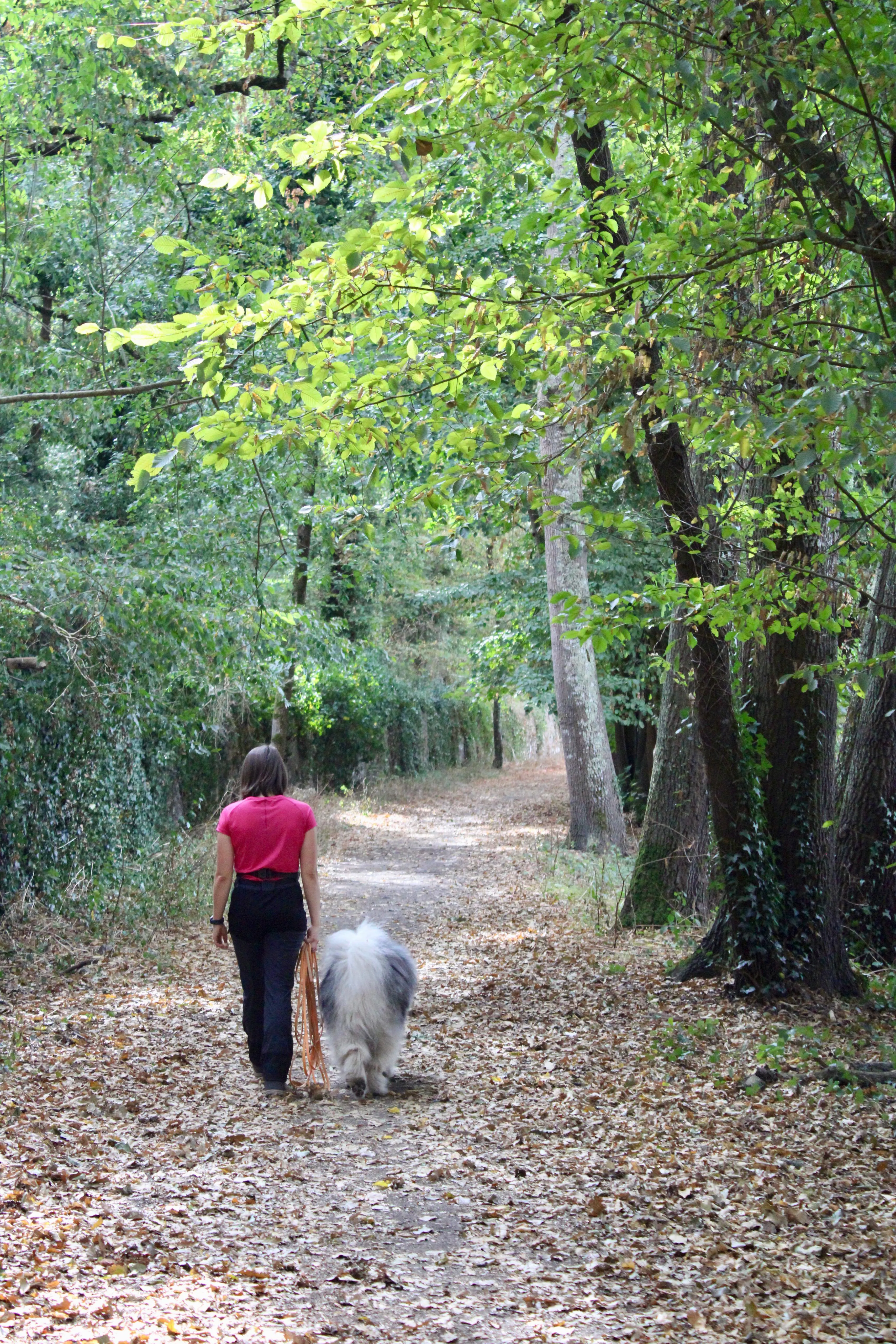 Sonia en balade avec son eurasier Koda à Cugand