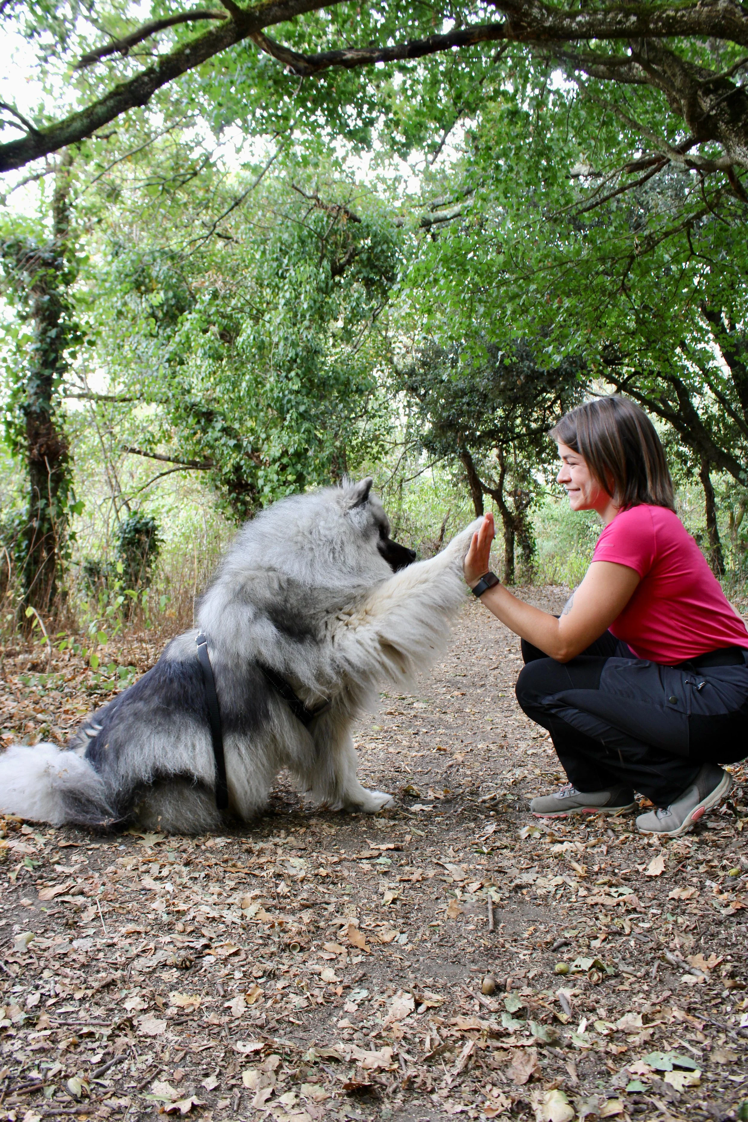 Sonia éducatrice canin avec son eurasier Koda à Cugand