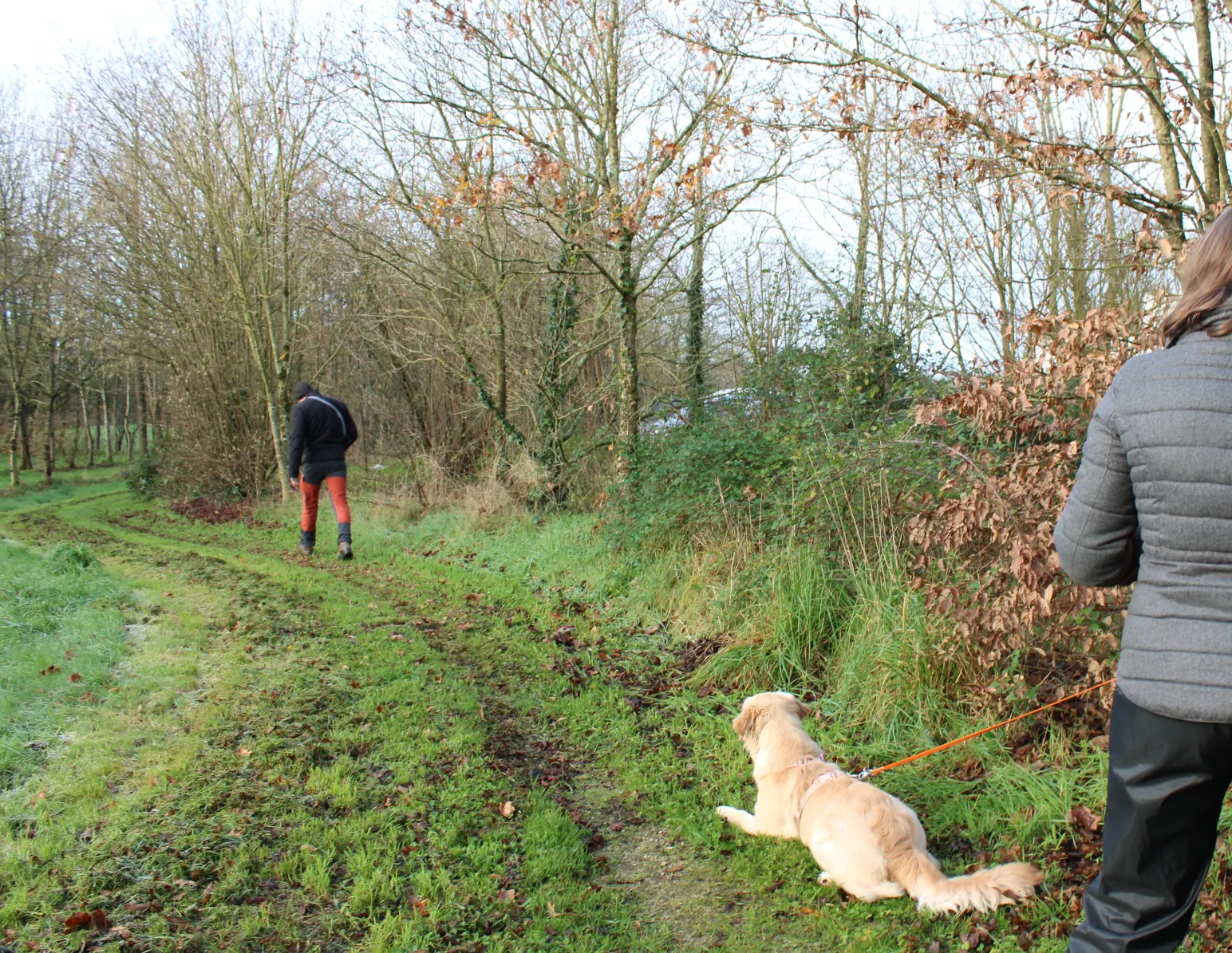 exercice de rappel en longe avec un chien en extérieur